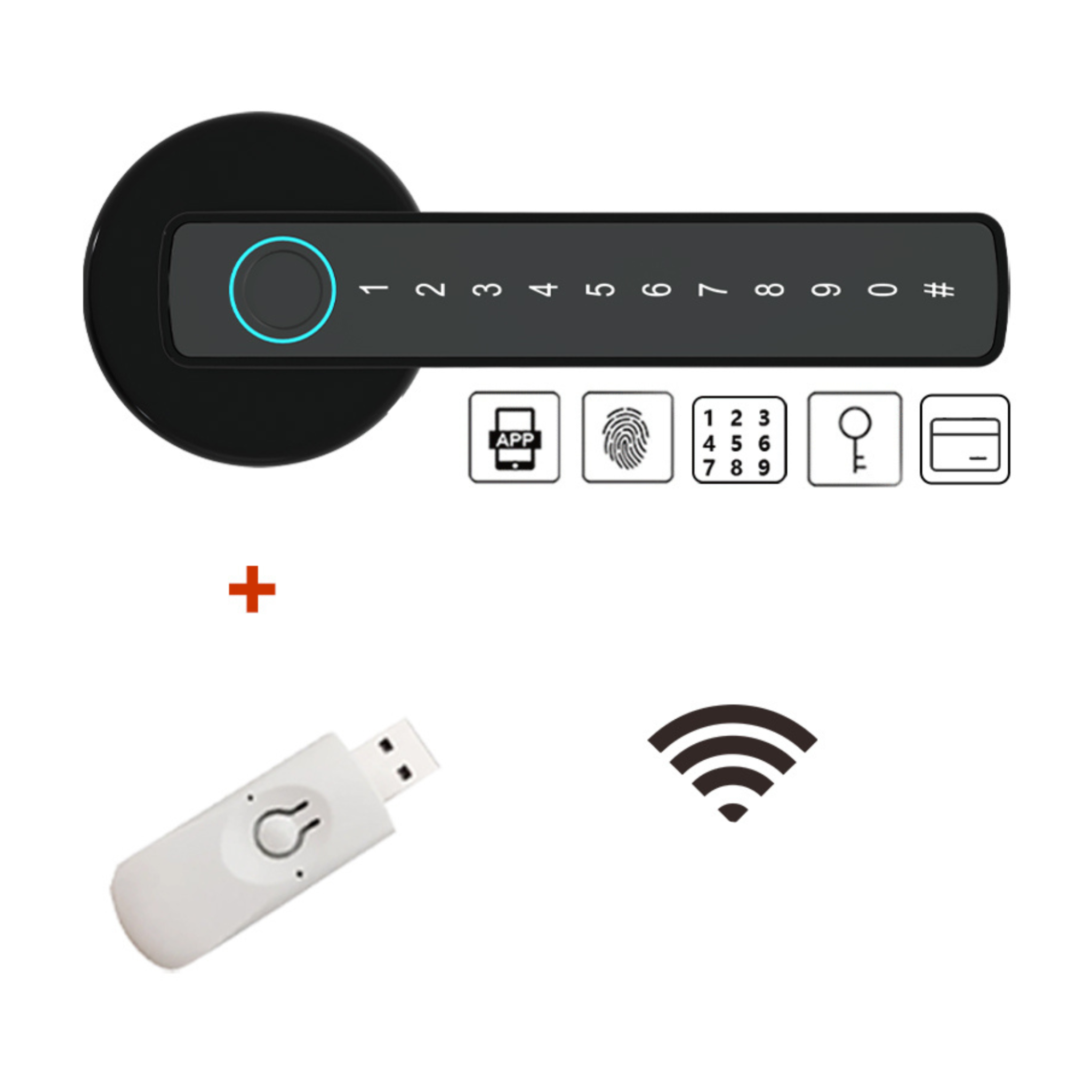Fechadura de Porta Inteligente Raykube Wifi