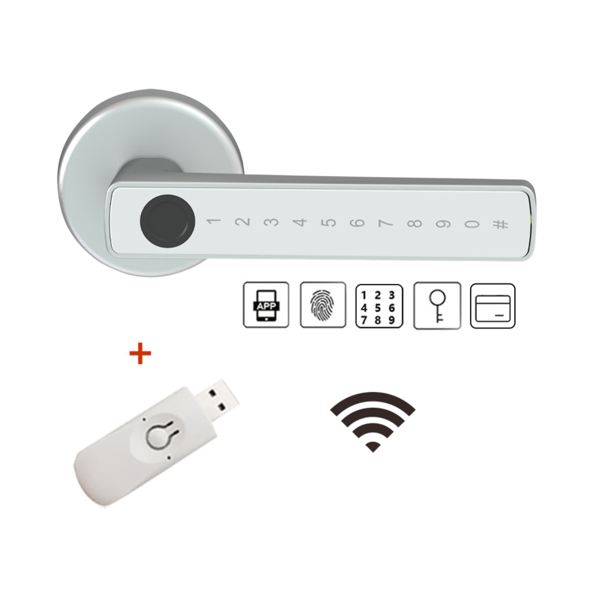 Fechadura de Porta Inteligente Raykube Wifi