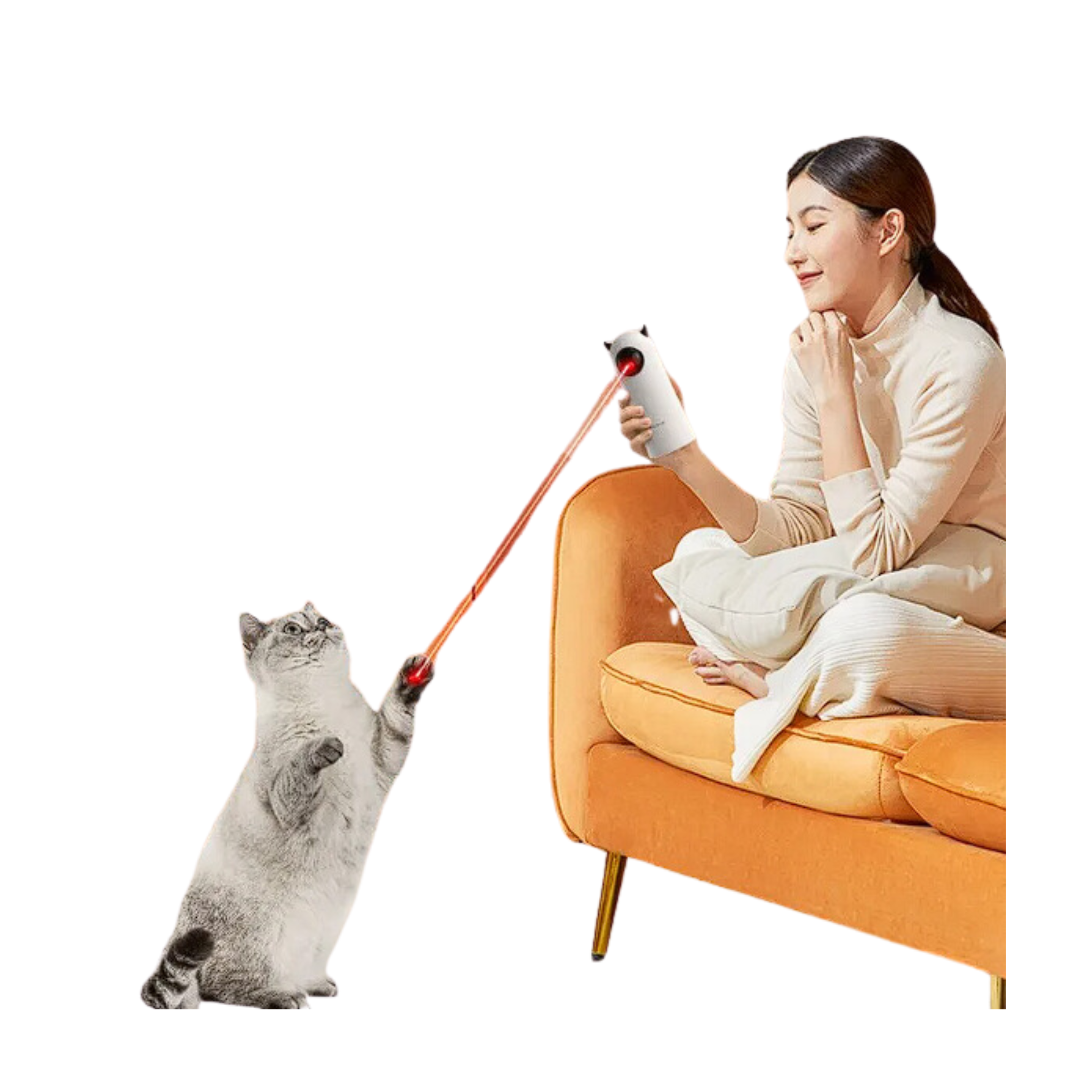 Lazer Pet Interativo Inteligente Rojeco