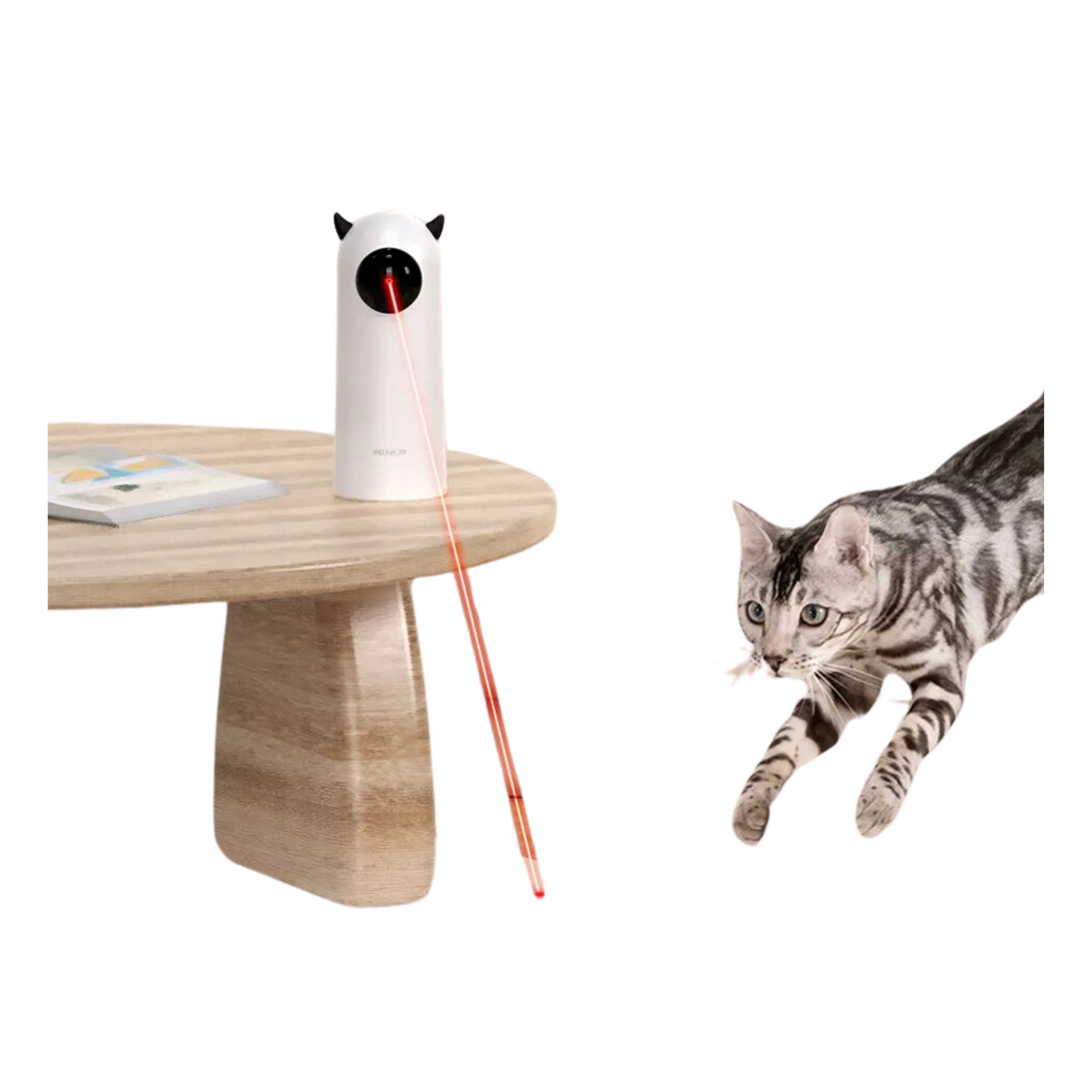 Lazer Pet Interativo Inteligente Rojeco