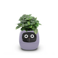 Vaso Inteligente Plantador Tuya Ivy Chip AI